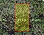  Holopaw Groves Road - Photo 2