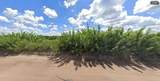  Holopaw Groves Road - Photo 4