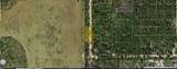  Holopaw Groves Road - Photo 2
