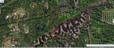  Holopaw Groves Road - Photo 1
