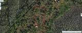  Holopaw Groves Road - Photo 1