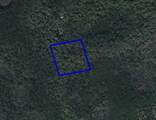 095 Pine Needle Road - Photo 2