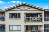 1052 Lotus Cove Court - Photo 3