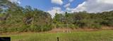 753 Dill Road - Photo 4