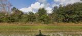 1025 Dill Road - Photo 3