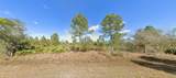 518 Tropicana Drive - Photo 2