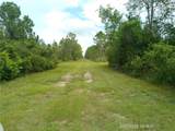 309 Camellia Drive - Photo 4