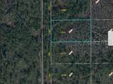 2307 Dill Road - Photo 6