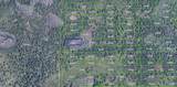 2307 Dill Road - Photo 7