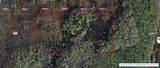  Holopaw Groves Road - Photo 1