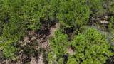 Lot 33 Neptune Boulevard - Photo 2