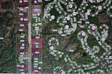 9115 Suncoast Boulevard - Photo 7