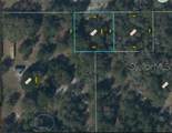 1349 Fort Christmas Road - Photo 3