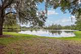 235 Royal Palm Drive - Photo 62