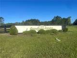 O Ocilla Loop - Photo 2