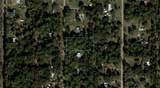 119 Sandi Street - Photo 1