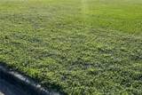  Dixie, Lot 18 Avenue - Photo 4