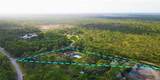 6885 Orchid Tree Drive - Photo 1