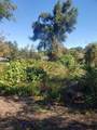  Chestnut Avenue - Photo 1
