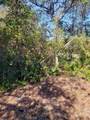  Chestnut Avenue - Photo 3