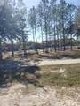  Chestnut Avenue - Photo 6