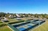 27000 Nature View Street - Photo 34