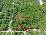  Parcel 229, E Holly Hock Road - Photo 12