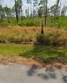 8225 Domenico Street - Photo 1