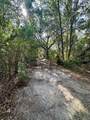 1918 Mountain Lake Cutoff Road - Photo 37