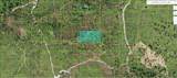  Tiger Lake Rd - Photo 1