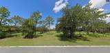 Tiger Lake Rd - Photo 2