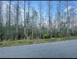  Luna Dr - Photo 1