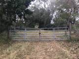 0 Irlo Bronson Memorial Highway - Photo 1