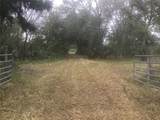 0 Irlo Bronson Memorial Highway - Photo 2