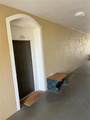 8103 Coconut Palm Way - Photo 35