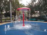 8103 Coconut Palm Way - Photo 43