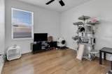 2910 Black Birch Drive - Photo 47