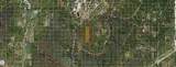  Holopaw Groves Road - Photo 1