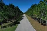 4115 Double Cut Drive - Photo 8