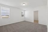 2307 White Tail Street - Photo 13