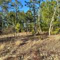0 Rome Avenue - Photo 3