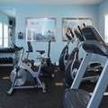1534 Tranquil Avenue - Photo 42