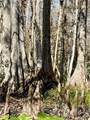 10285 28TH Loop - Photo 80