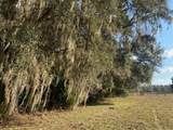 TBD Hwy 316 Sugar Woods Lot#15 - Photo 5