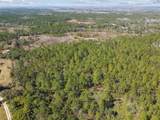 000 Old Haw Creek Road - Photo 10