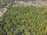 000 Old Haw Creek Road - Photo 12