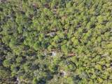 000 Old Haw Creek Road - Photo 13