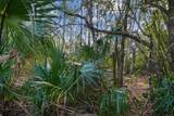 000 Old Haw Creek Road - Photo 20