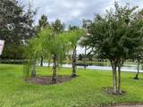 8237 Serenity Spring Drive - Photo 59