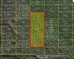  Holopaw Groves Road - Photo 3